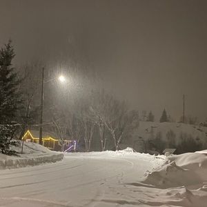 Meet your Posher, Catherine